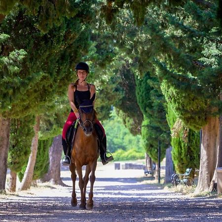 Villa Marietta Equino Donje Sitno Bagian luar foto